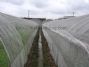plastic agriculture shading/scaffolding netting